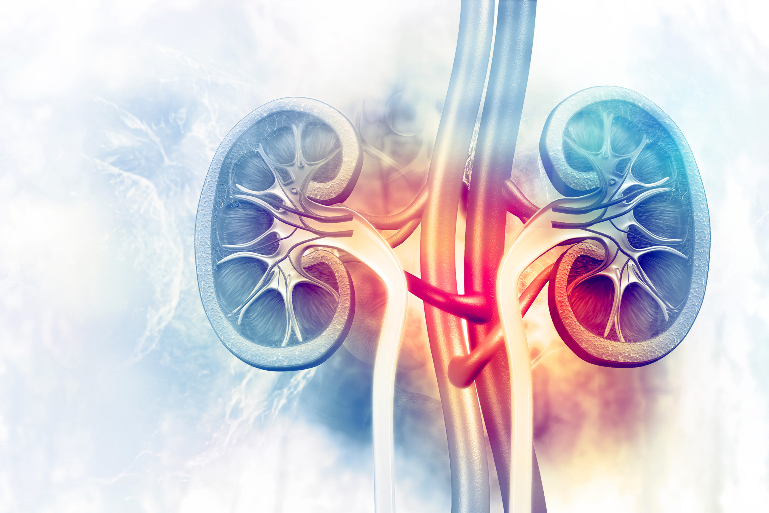 Nephrology
